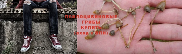 MESCALINE Горняк