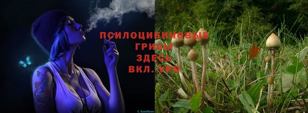 кокаин перу Горно-Алтайск