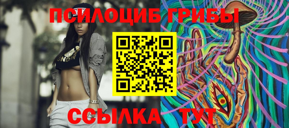 Галлюциногенные грибы MAGIC MUSHROOMS  Псилоцибиновые грибы мицелий  Железногорск  Вход с VPN 